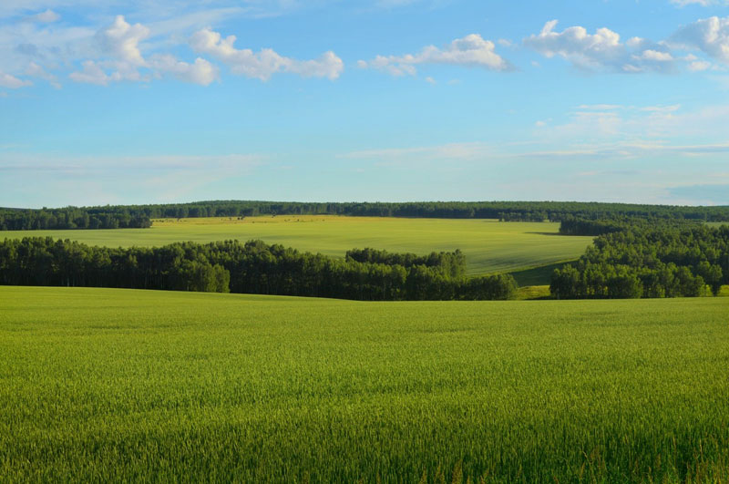 Projets de gestion, de diagnostique écologique et de mise en place de mesures agro-environnementales avec Linda Pouchard, guide naturaliste et technicienne en génie écologique à Bordeaux, Gironde, Nouvelle Aquitaine