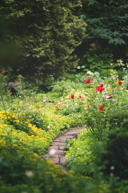 Conseils personalisés et amélioration du cadre de vie, soutien à la biodiversité, avec Linda Pouchard.