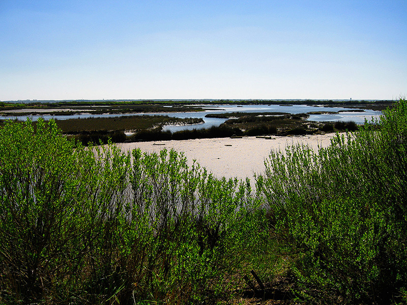 photo du littoral atlantique